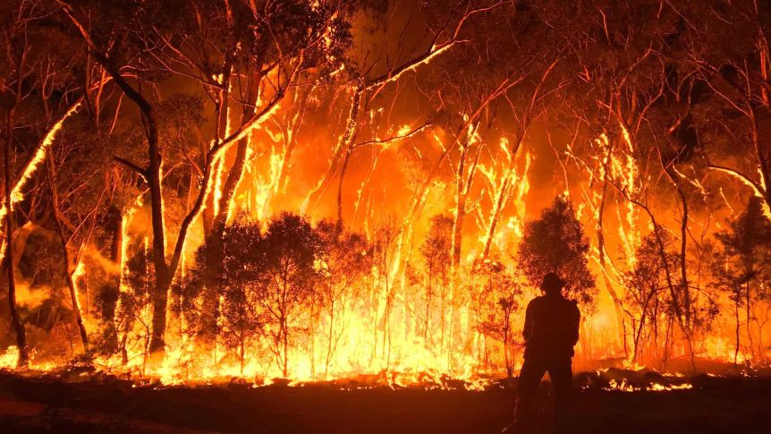Bushfire