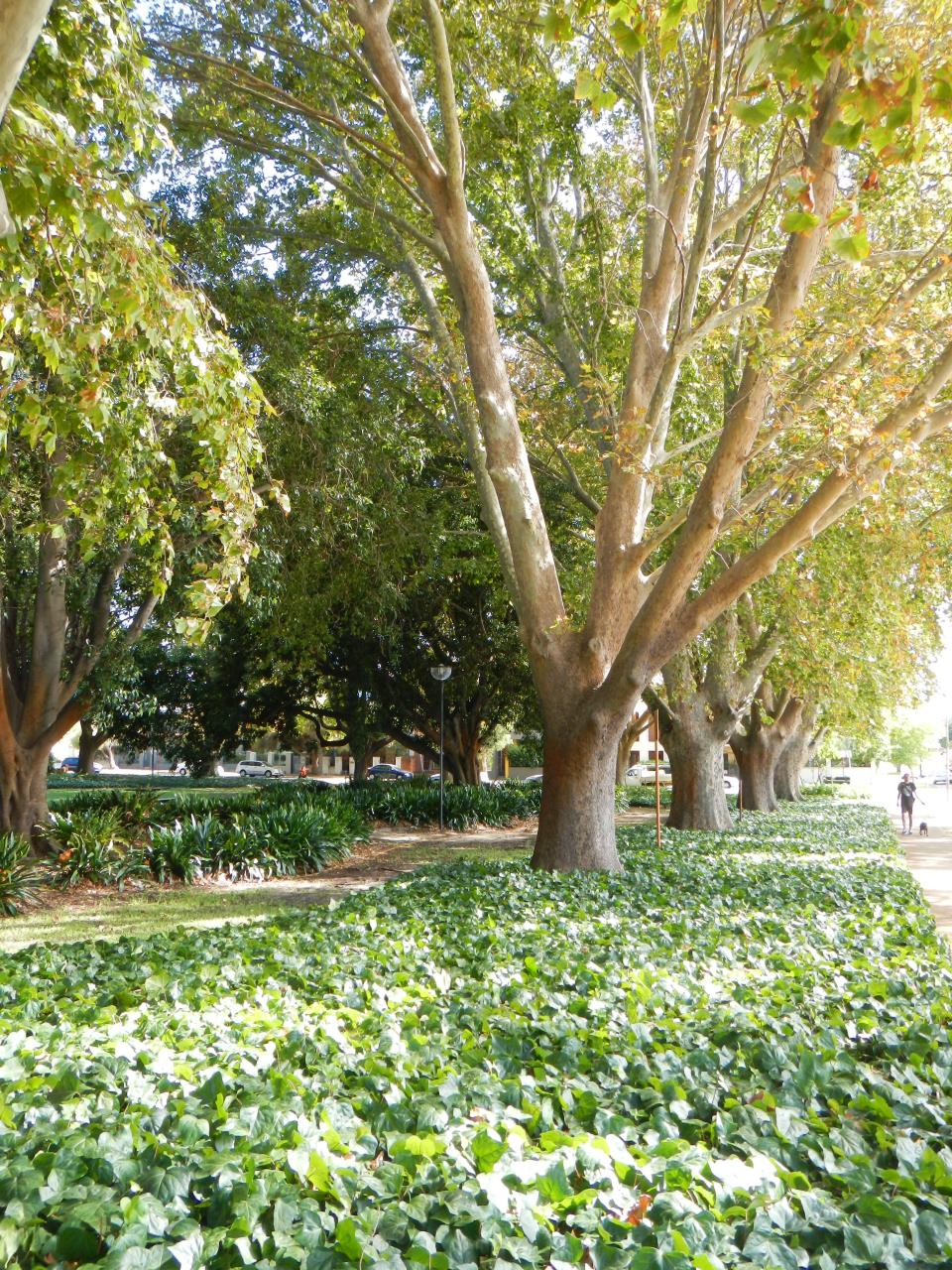 Brigatti Park