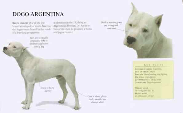 restricted dog breeds