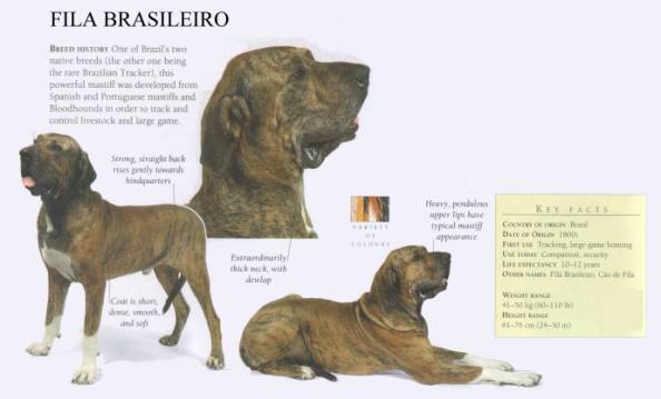 restricted dog breeds