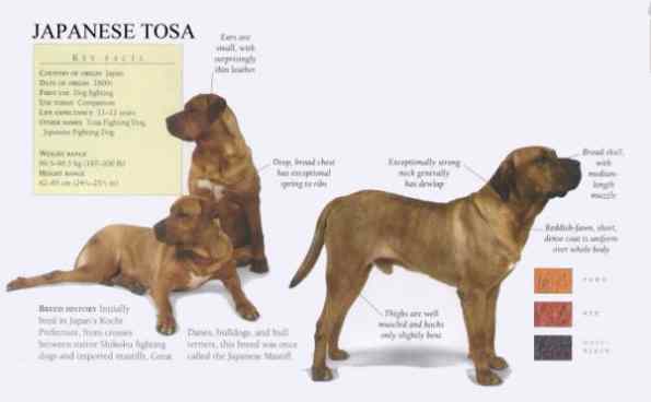 restricted dog breeds