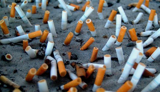 Litter Control