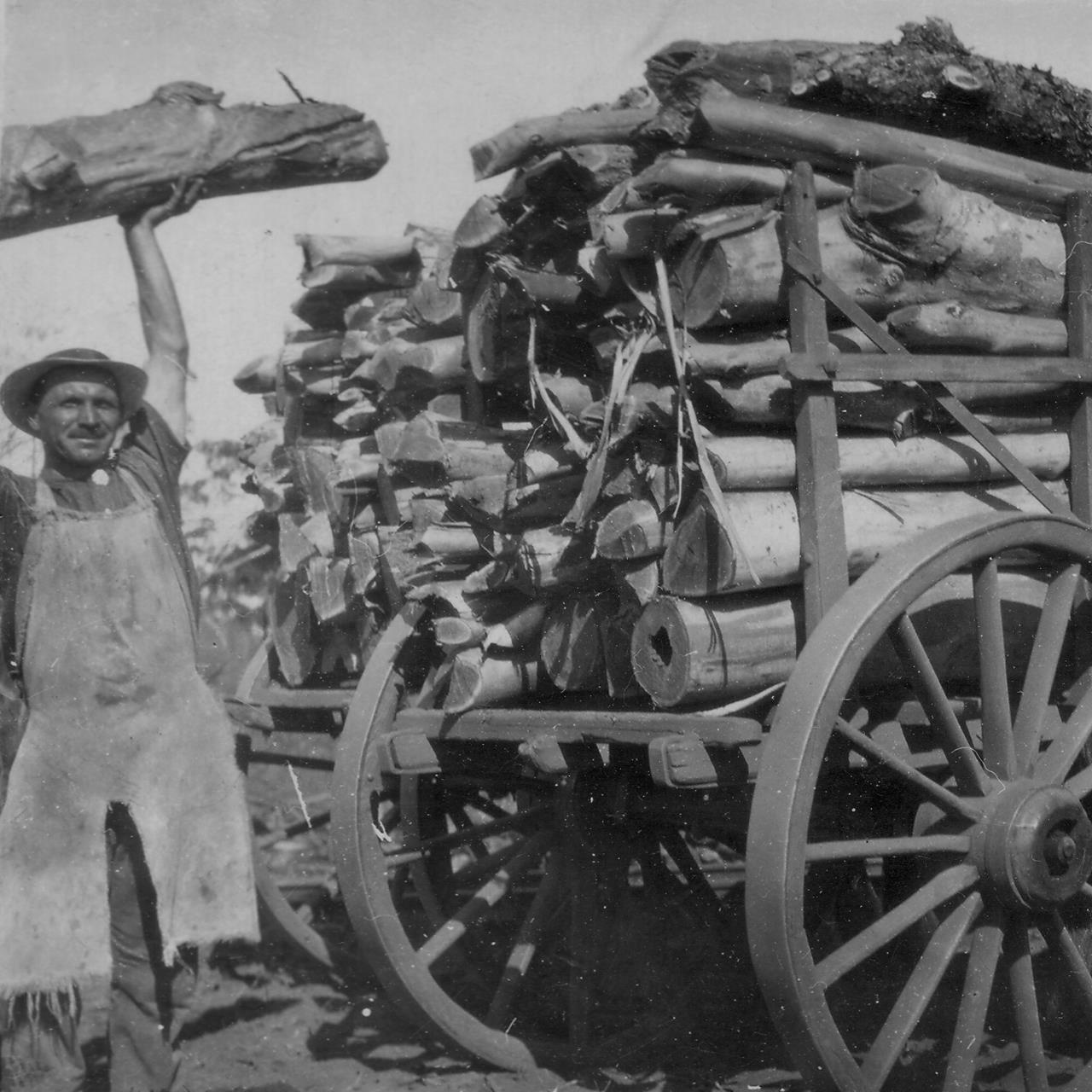 Woodlines of Western Australian Goldfields: Phil Bianchi