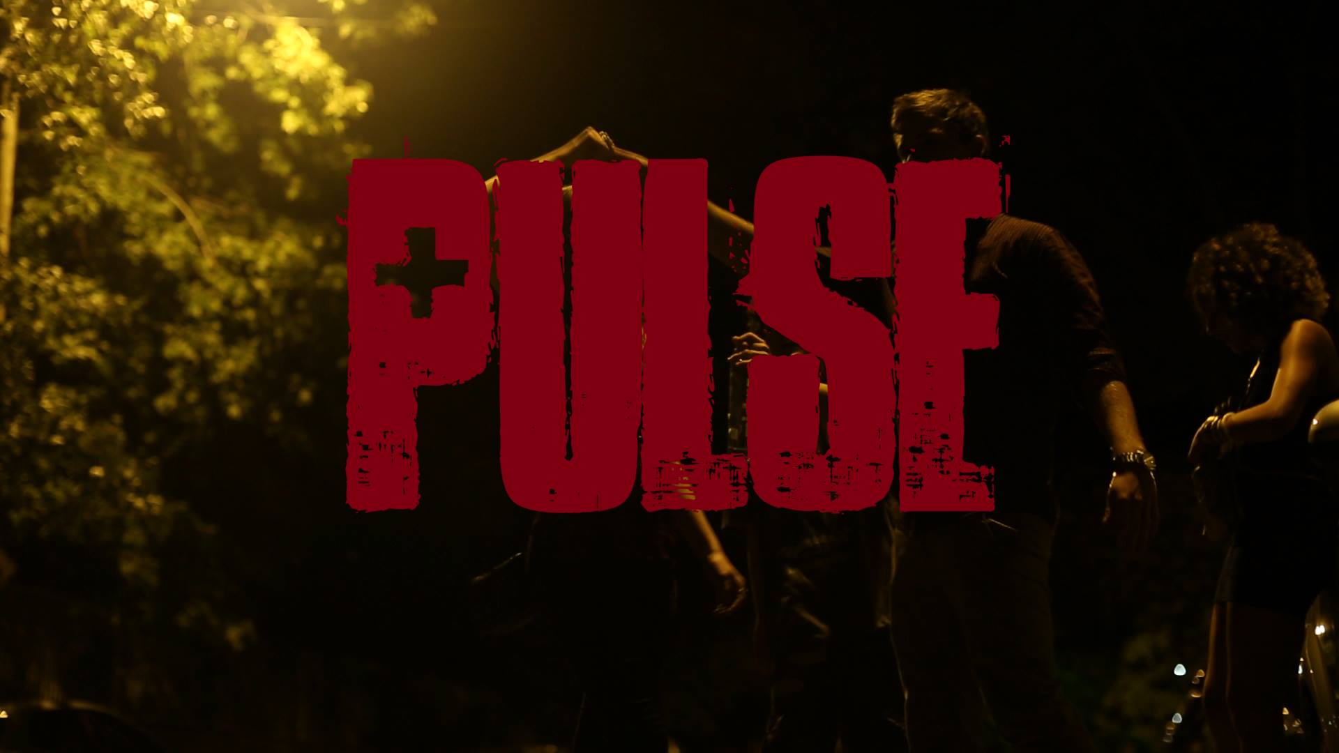 Pulse: debut screening and Q&A session