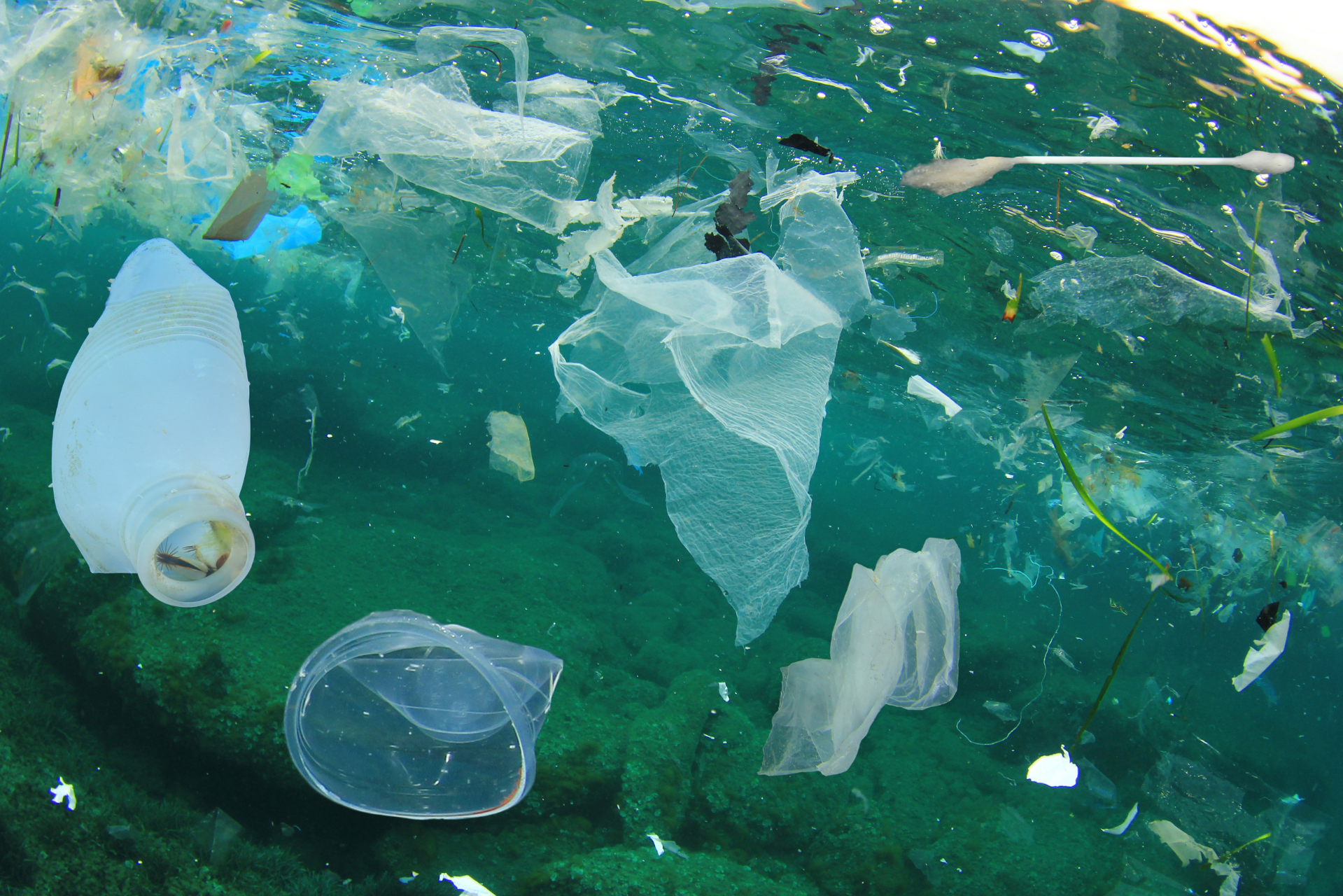 The Past, The Present and The Future of Plastics