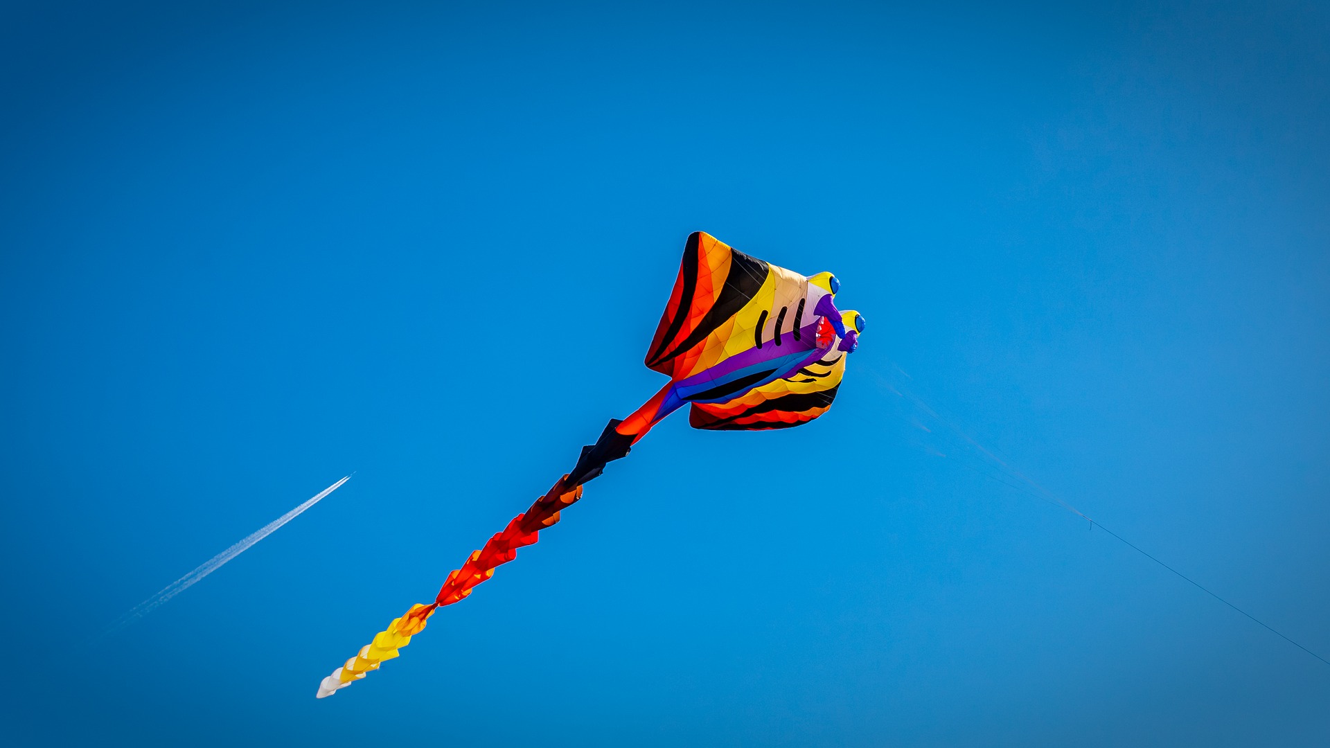 School Holiday Activity : Kite Making