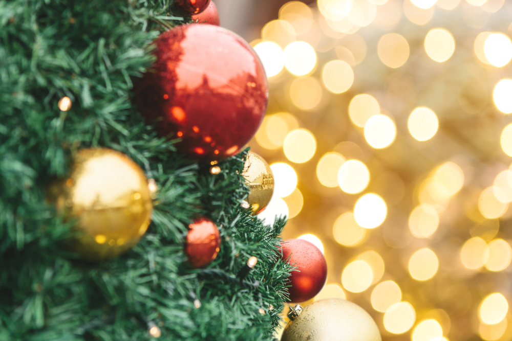 Beaufort Street Christmas Festival
