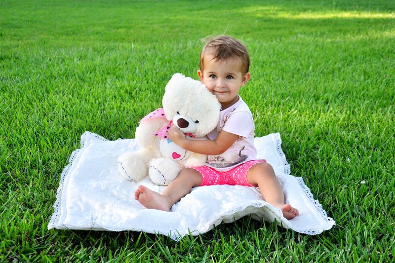 Teddy Bears' Picnic