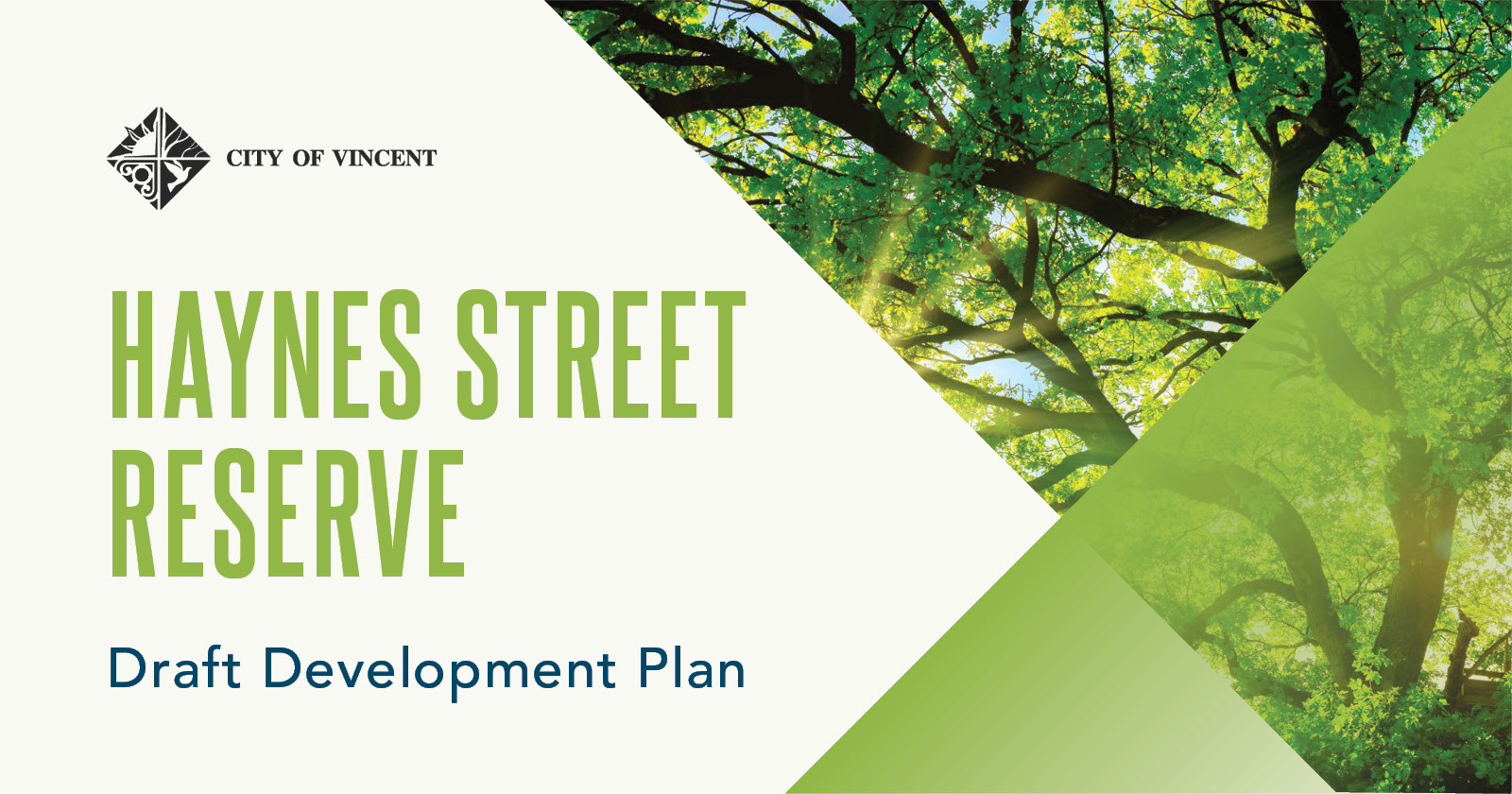 Have your say on our Haynes Street plan