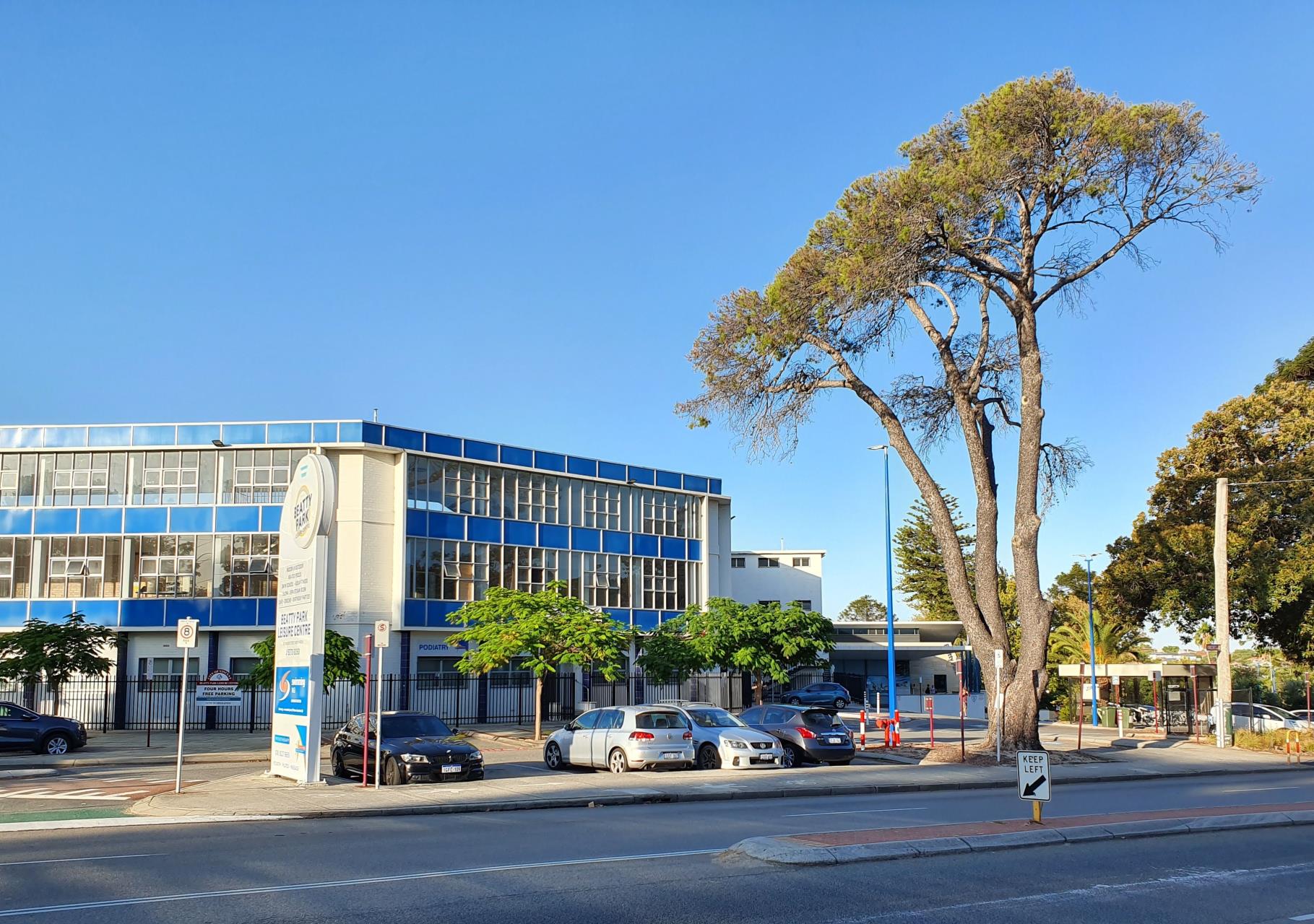 Tree removal at Beatty Park