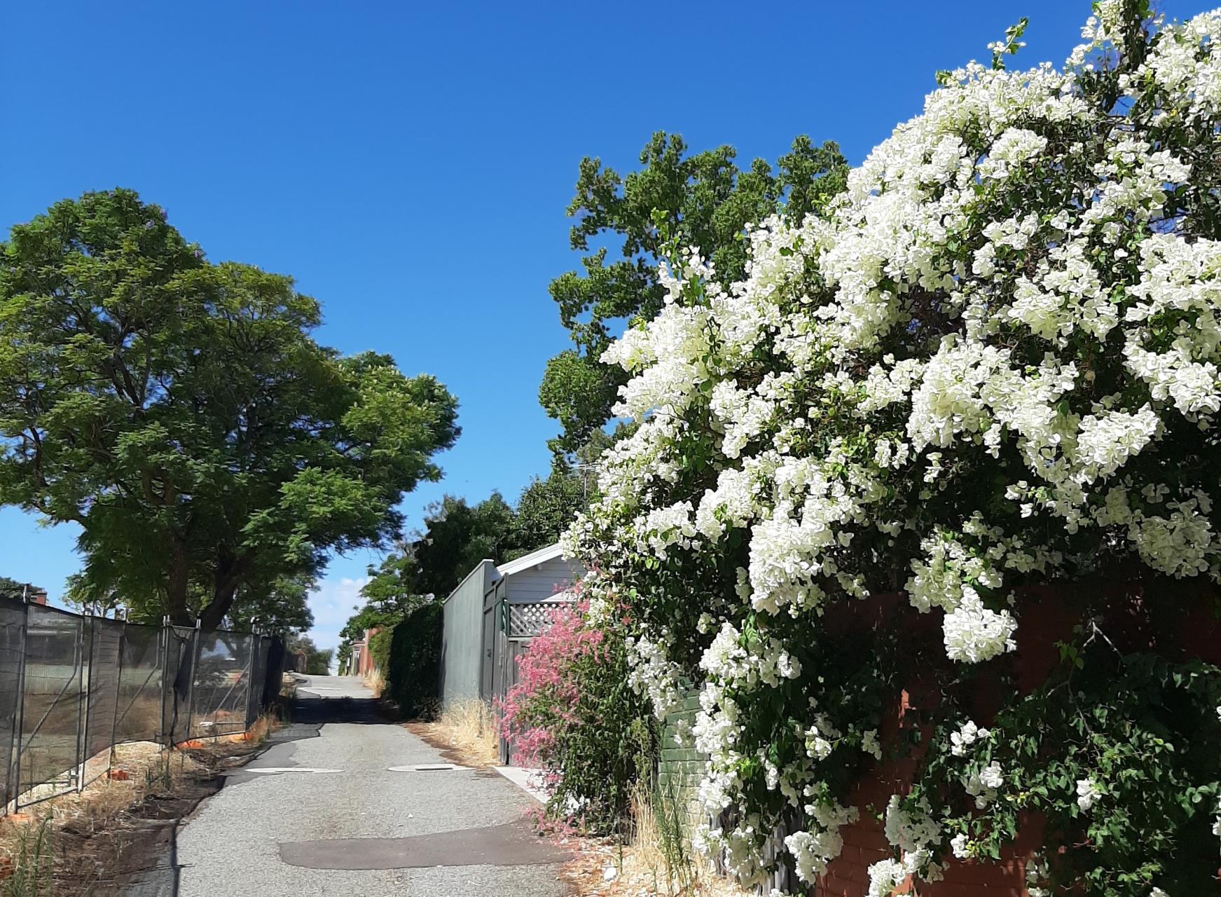 Proposed Laneway Naming – Mt Lawley