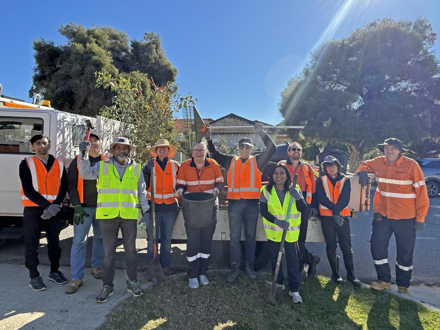 Trees ready to reach new heights as power goes underground