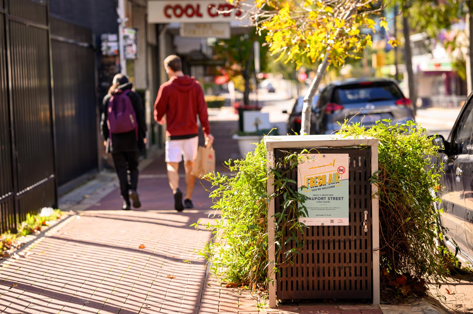 Smoke-Free Town Centres - one year on