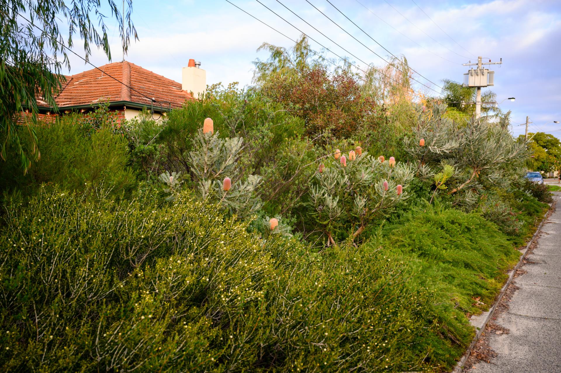 Bush Fires Act – Your Responsibilities