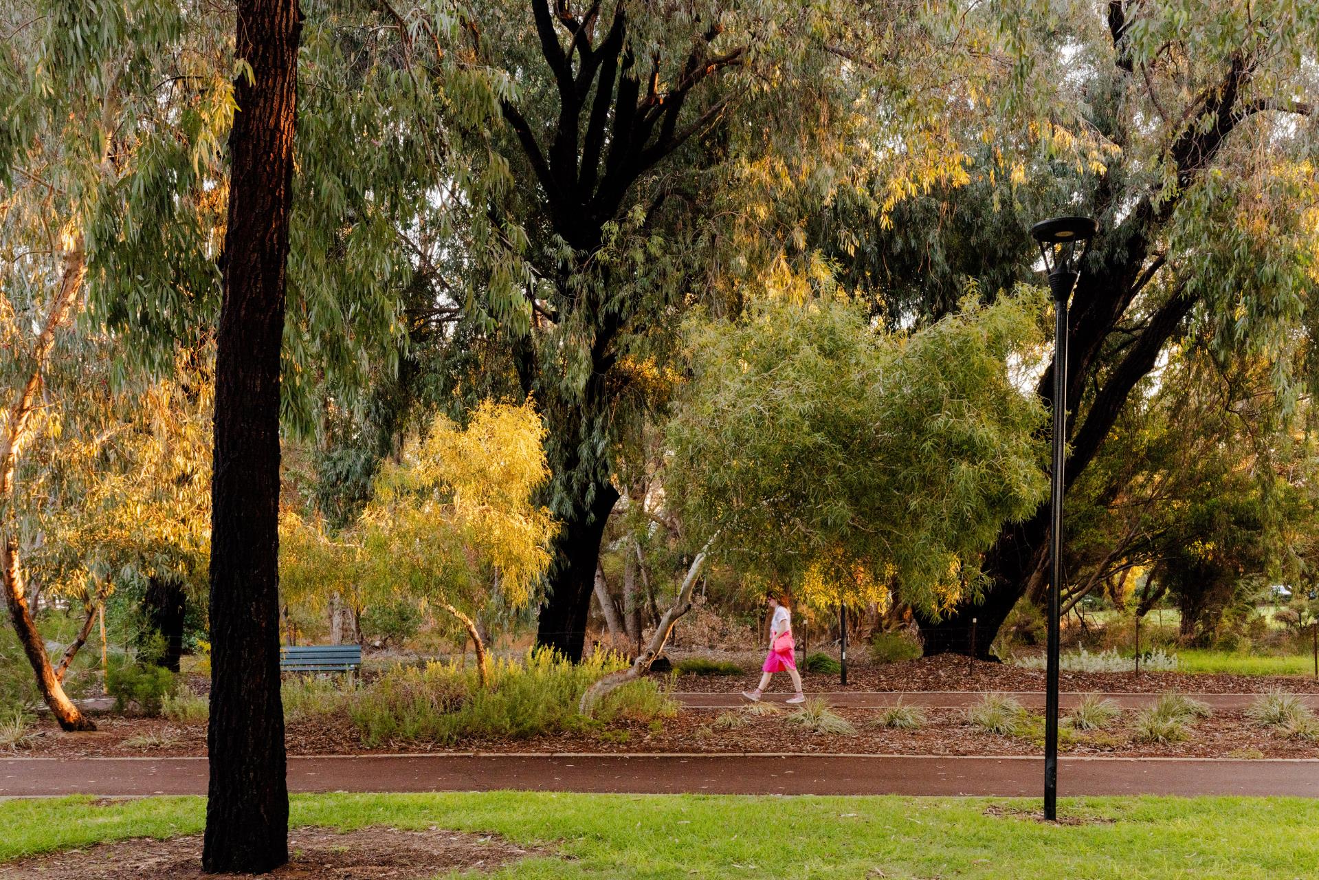 Robertson Park lighting