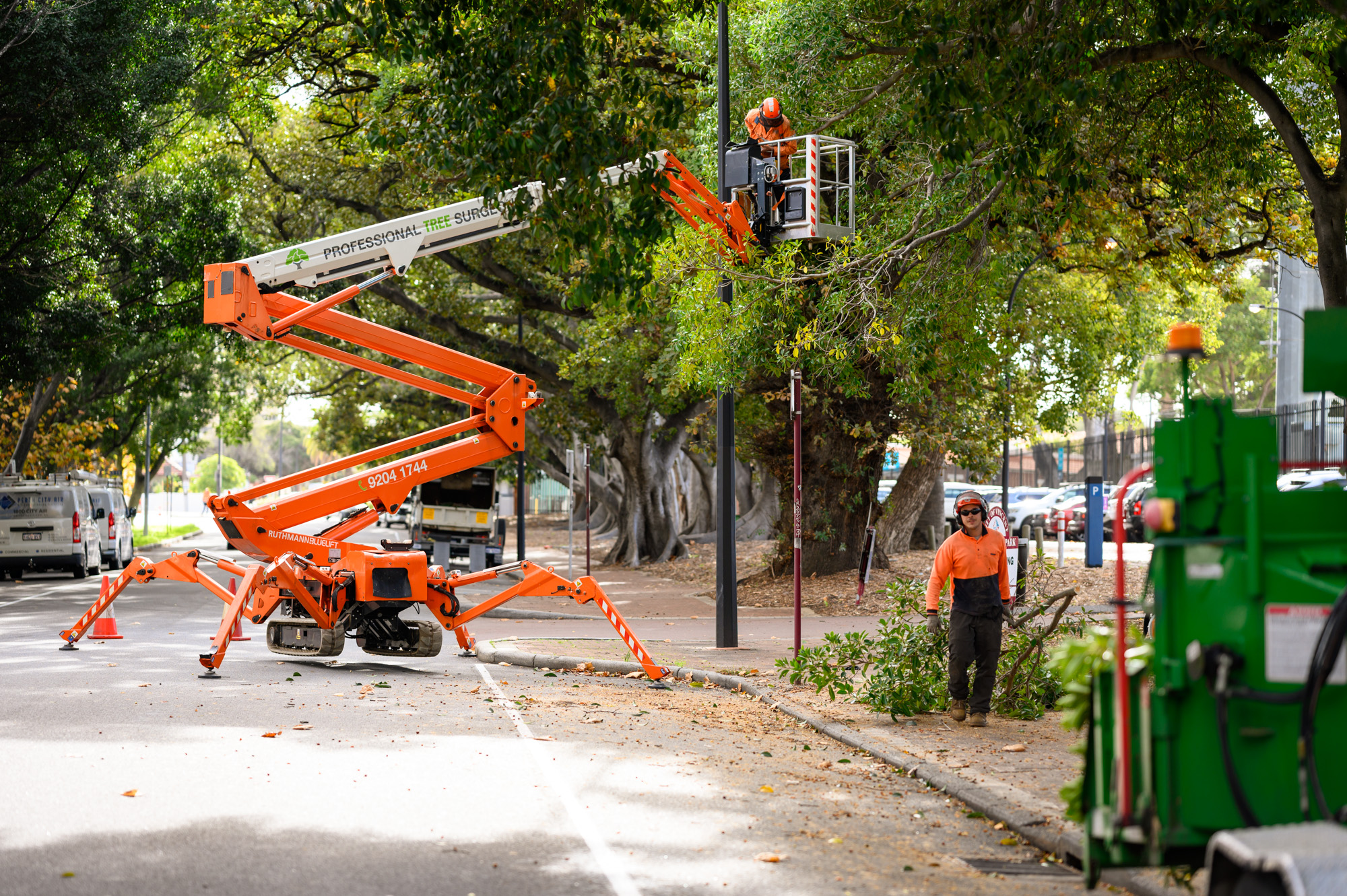 Tree Pruning Nightworks - Loftus Street, Leederville