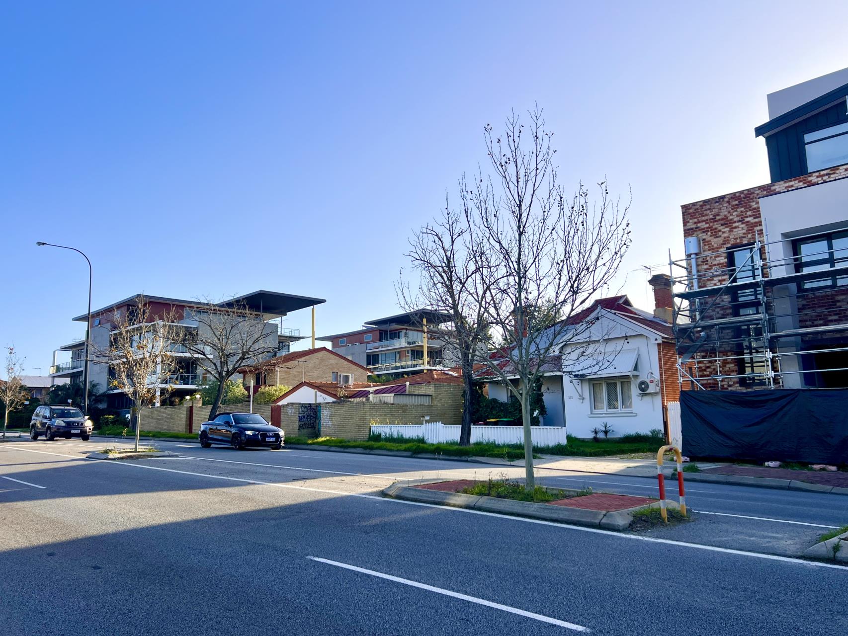 Street trees to be replaced with natives on Lord Street