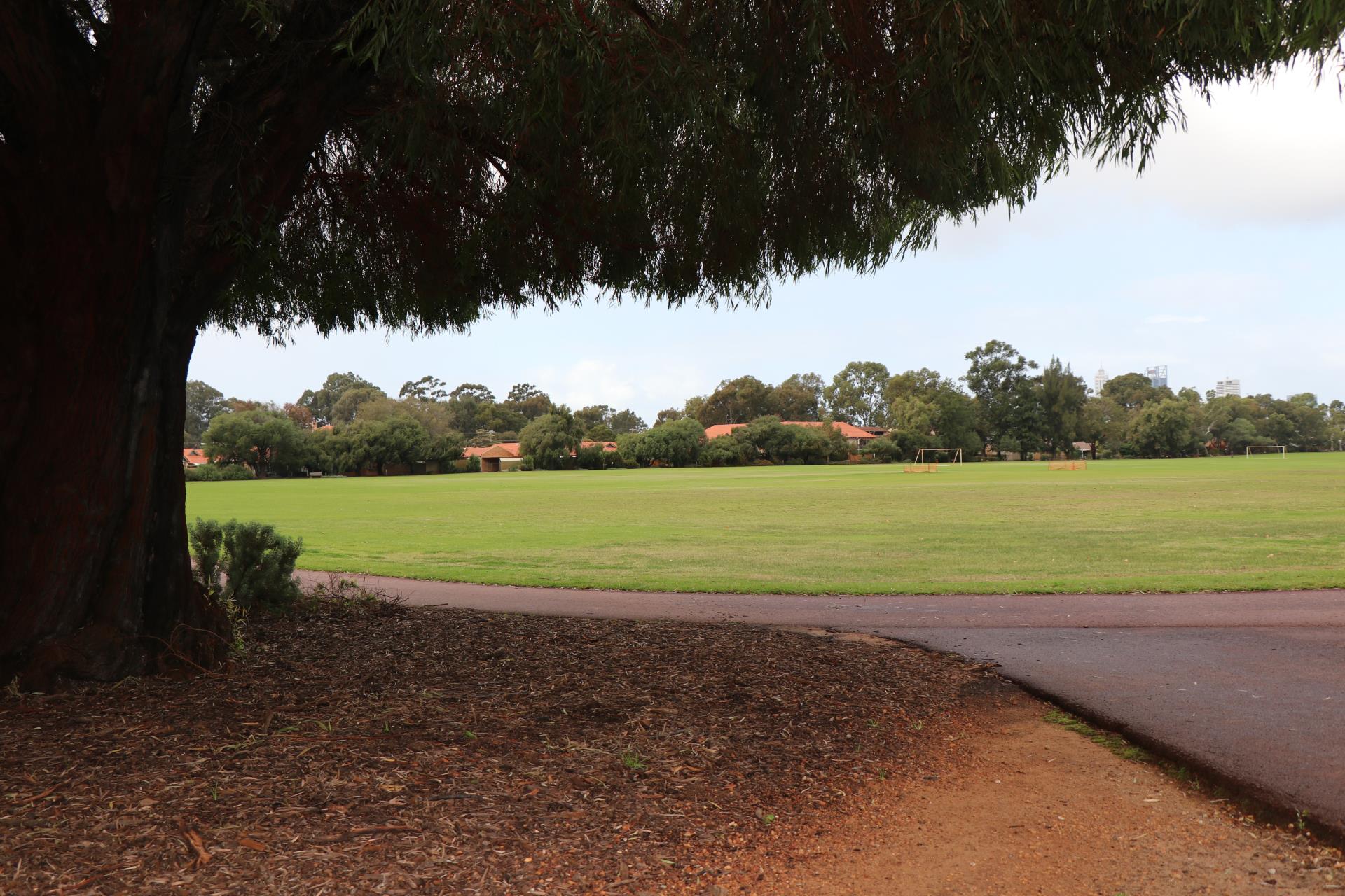 Britannia Reserve lighting gets the green light