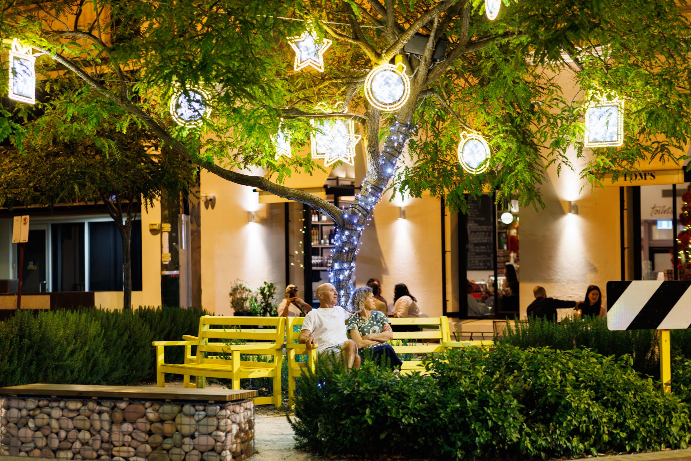 Your Guide to Christmas Lights in Vincent