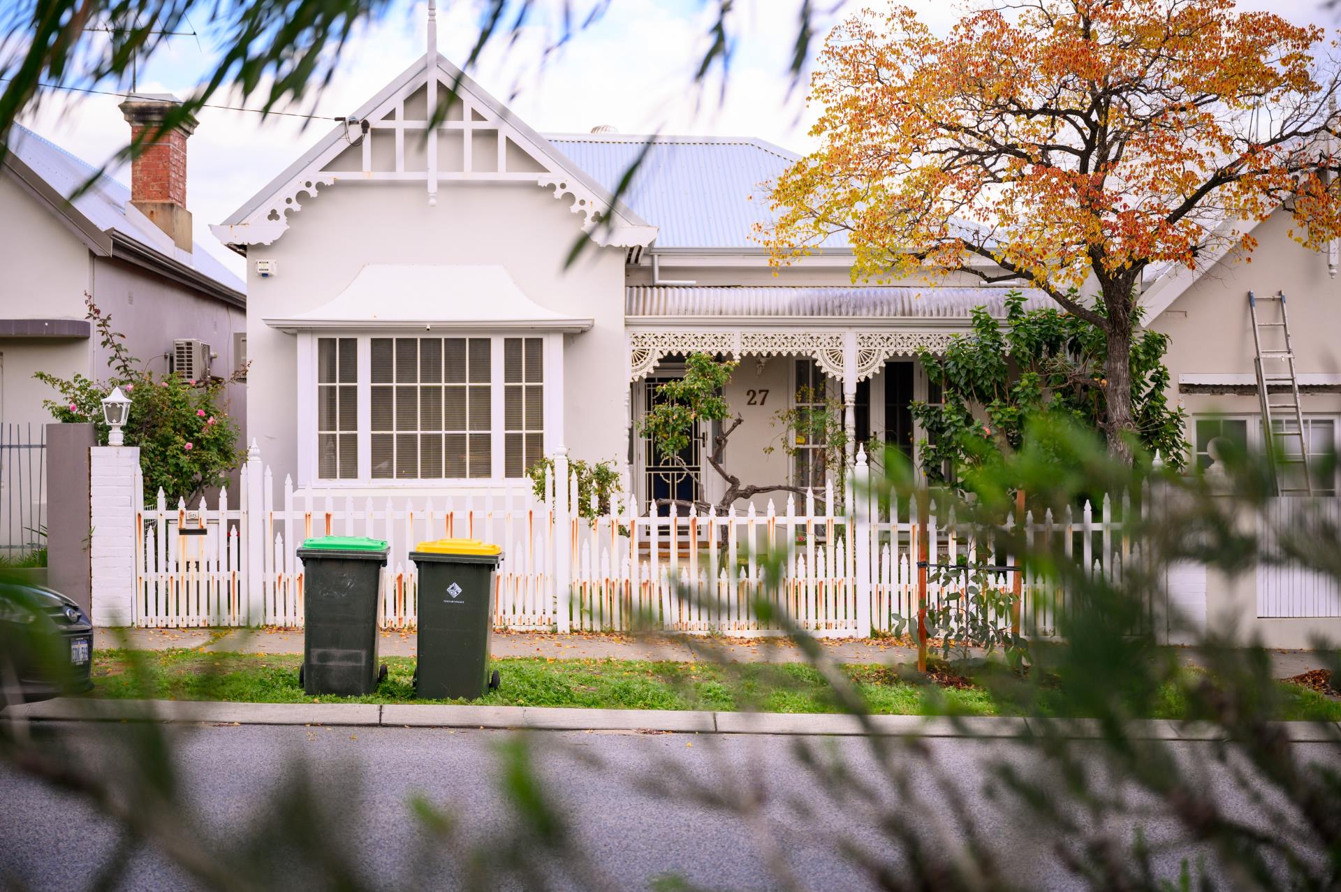 Vincent calls for inner-city canopy to be prioritised