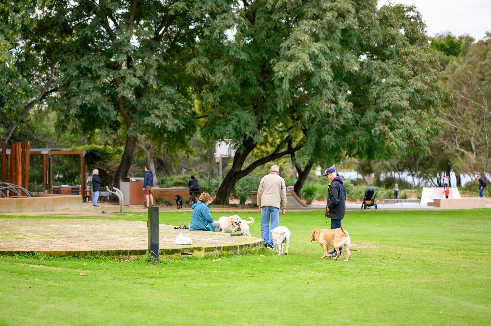 Vincent to seek approval for Banks Reserve renaming to Warndoolier