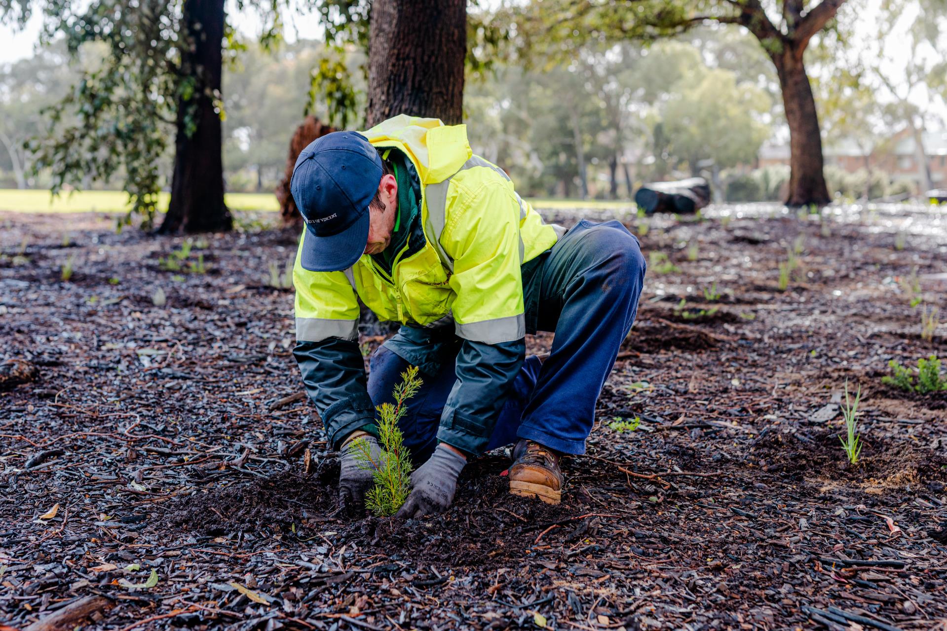 Community groups and schools encouraged to apply for environmental grants