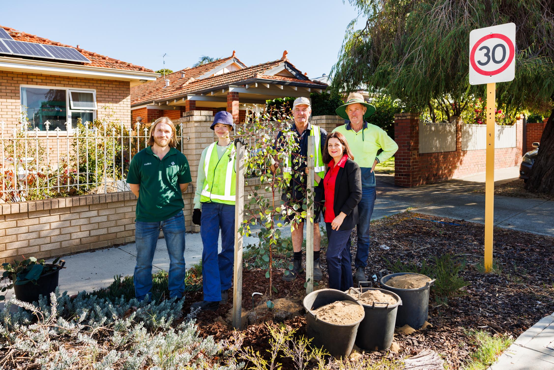 Hundreds of trees coming to Vincent