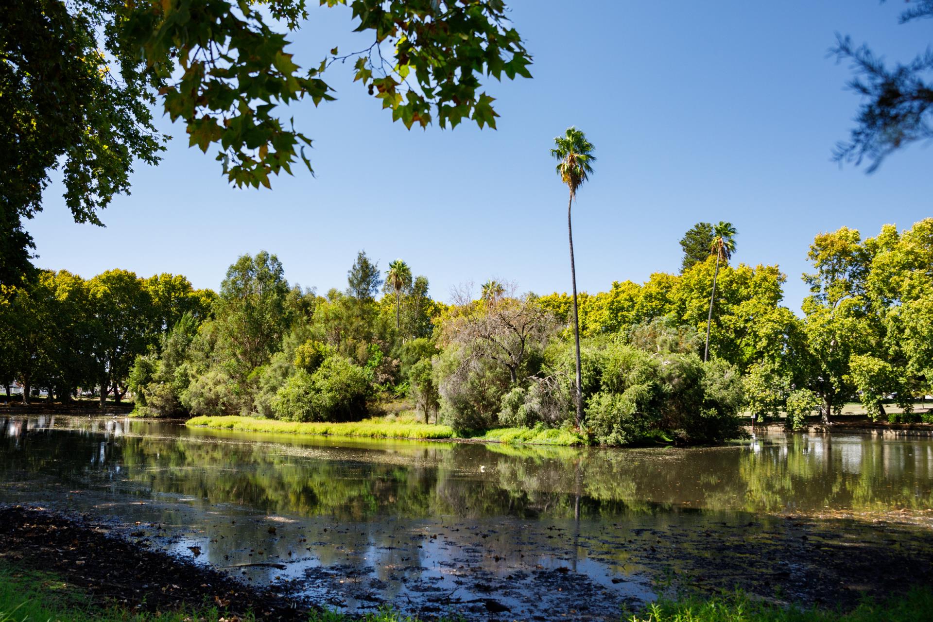 Hyde Park Reference Group nominations open