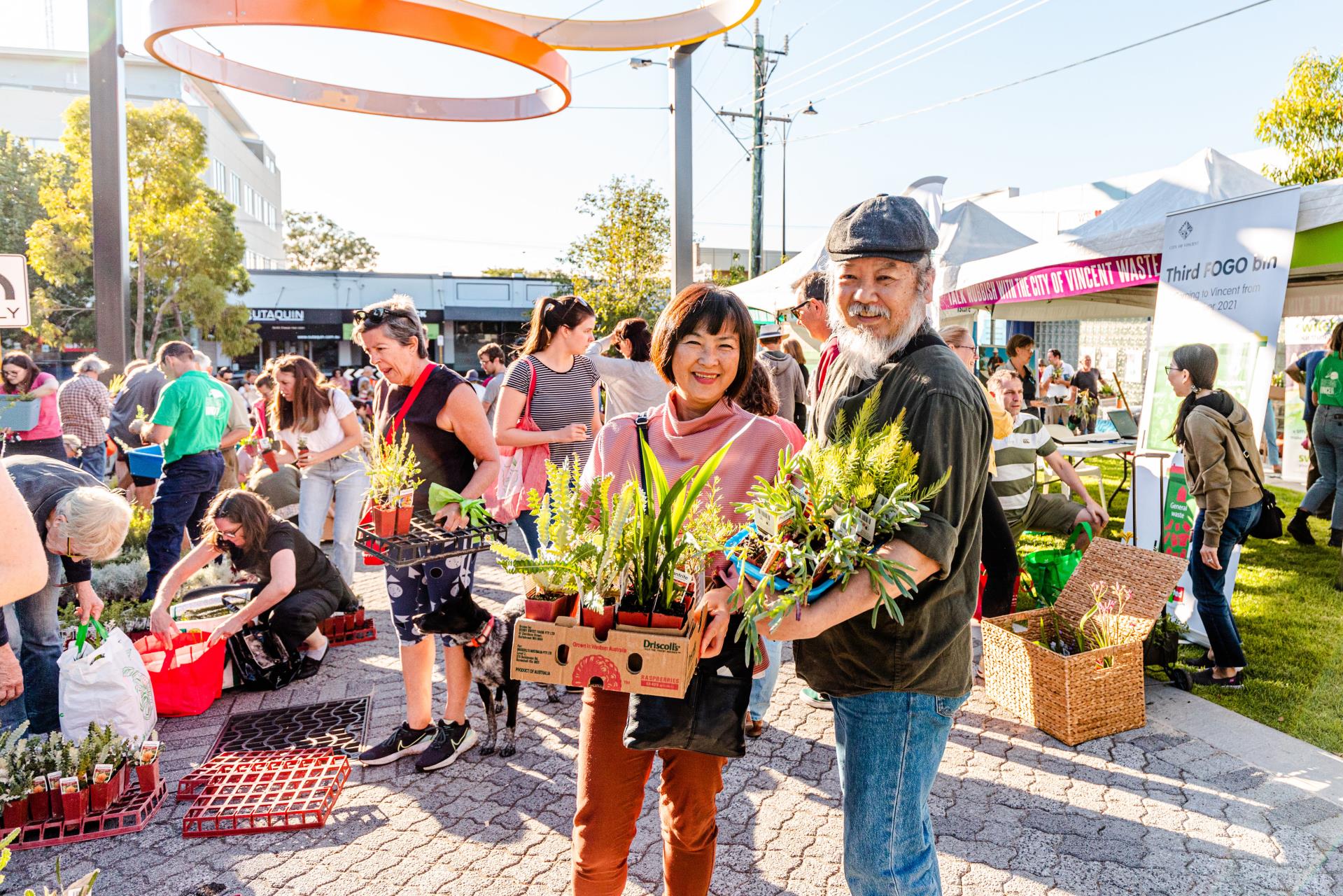 Transform your garden into a waterwise oasis
