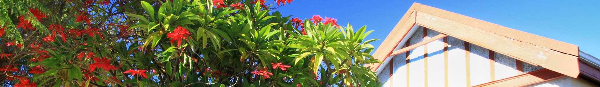 Banner - Local Planning Strategy & Scheme &raquo; City of Vincent