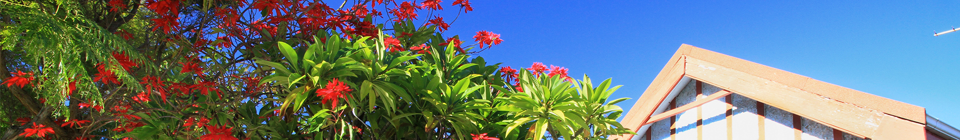 Banner - Heritage Trades Directory Registration – Expressions of Interest &raquo; City of Vincent