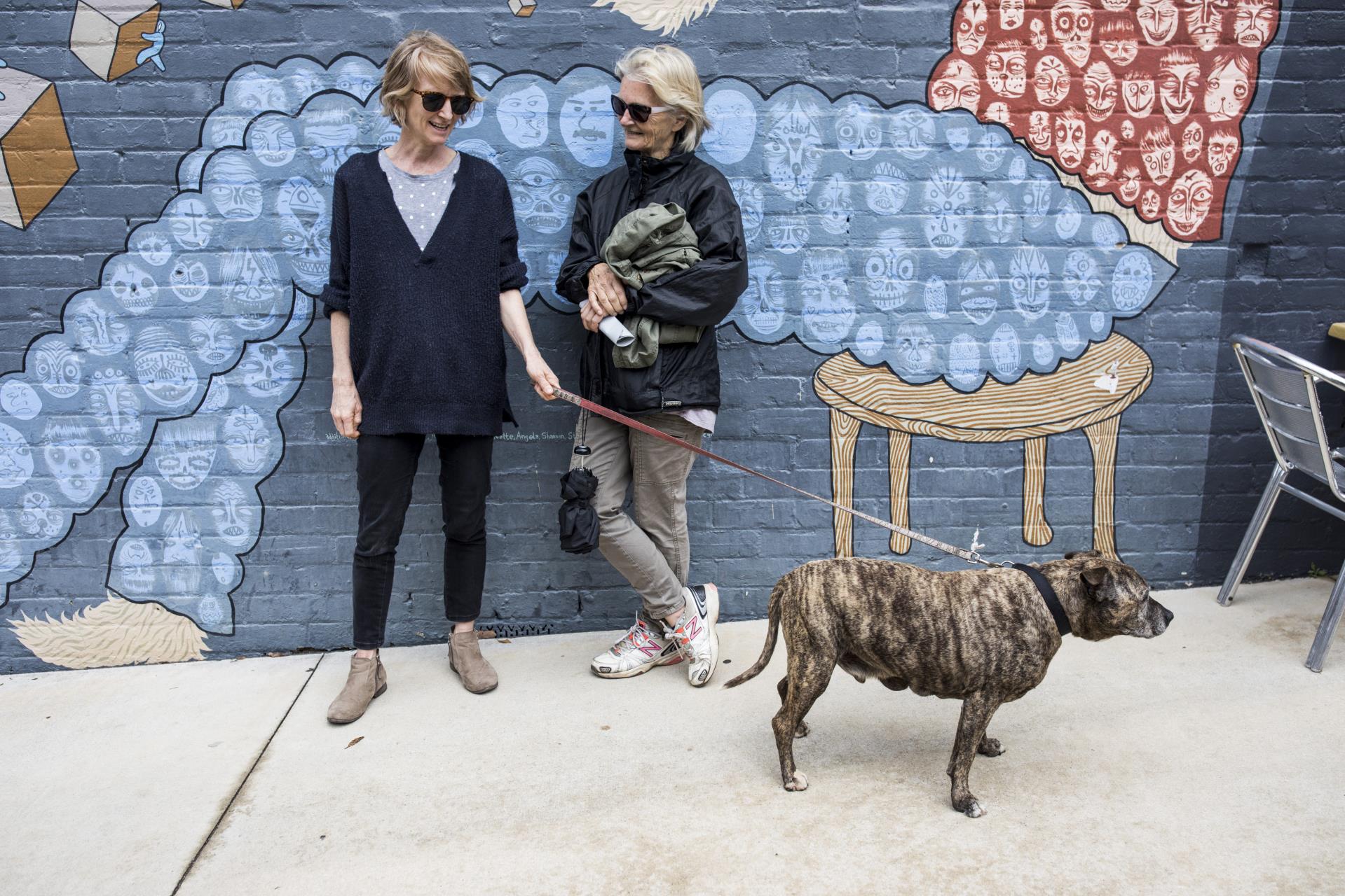 Register your pet Image