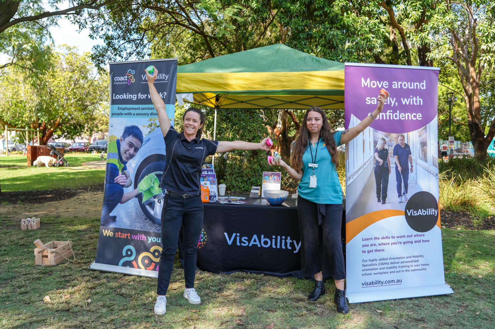 Access and inclusion support and service providers Image