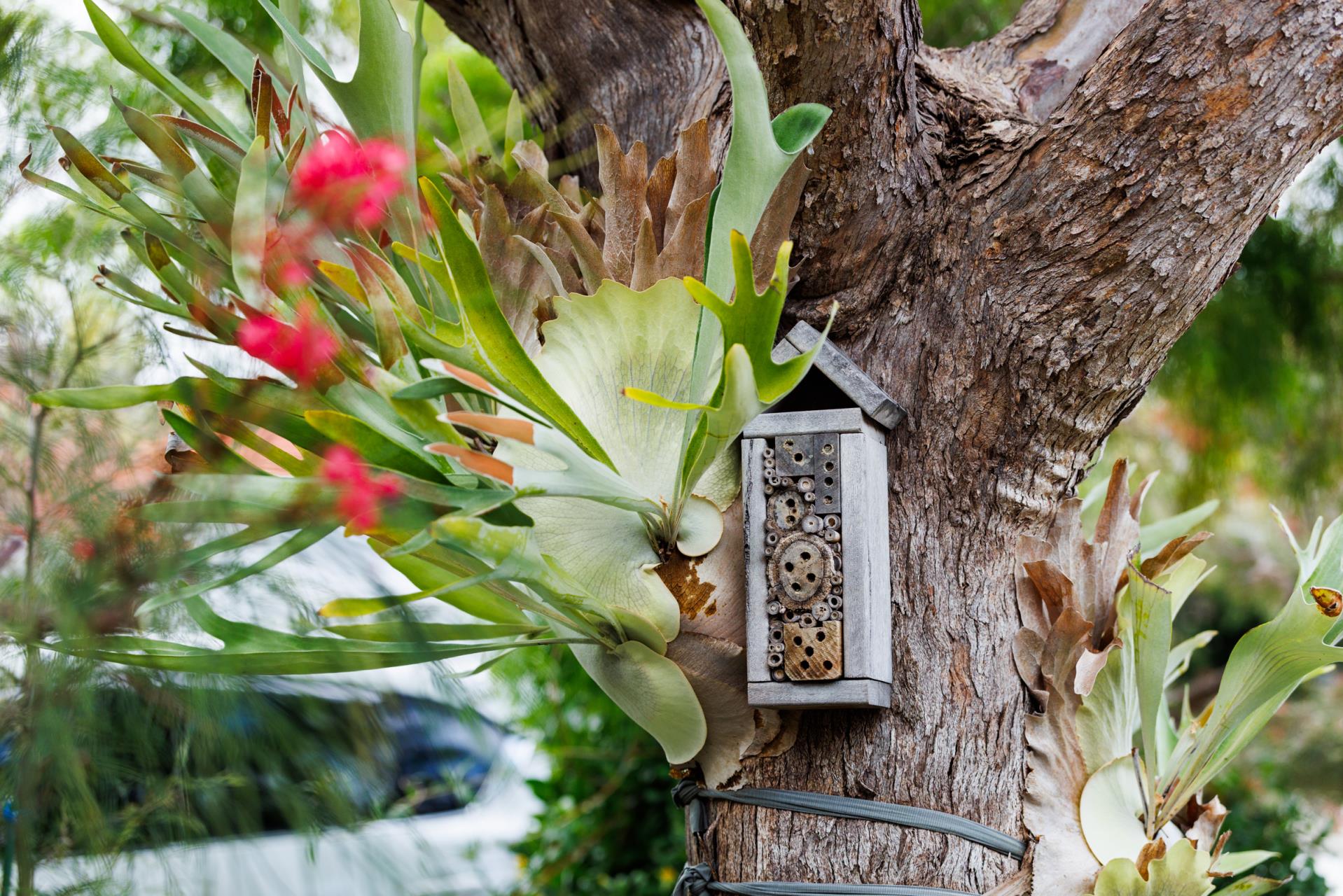 The 2026 Greening Vincent Garden Competition Winners Announced