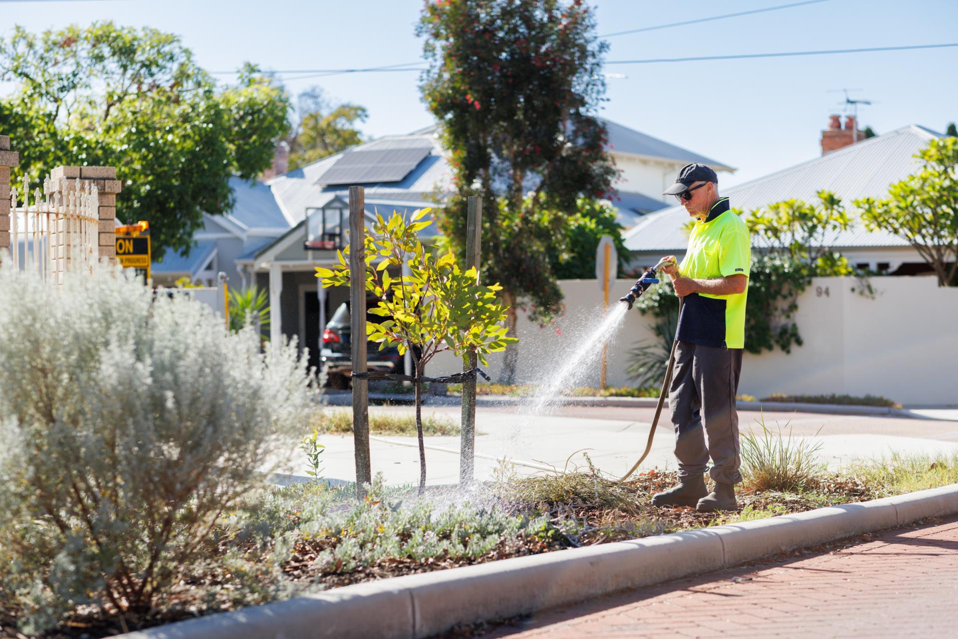 Funding boost to grow Vincent’s urban forest