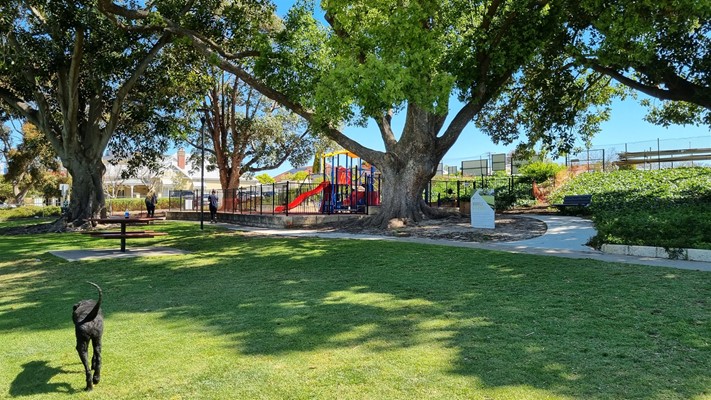Parks & Facilities - Woodville - Playground