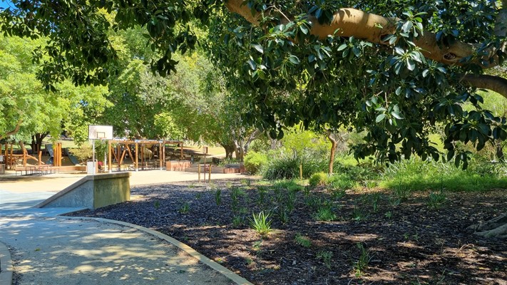 Parks & Facilities - Banks - Banks Reserve & Ampitheatre - Playground