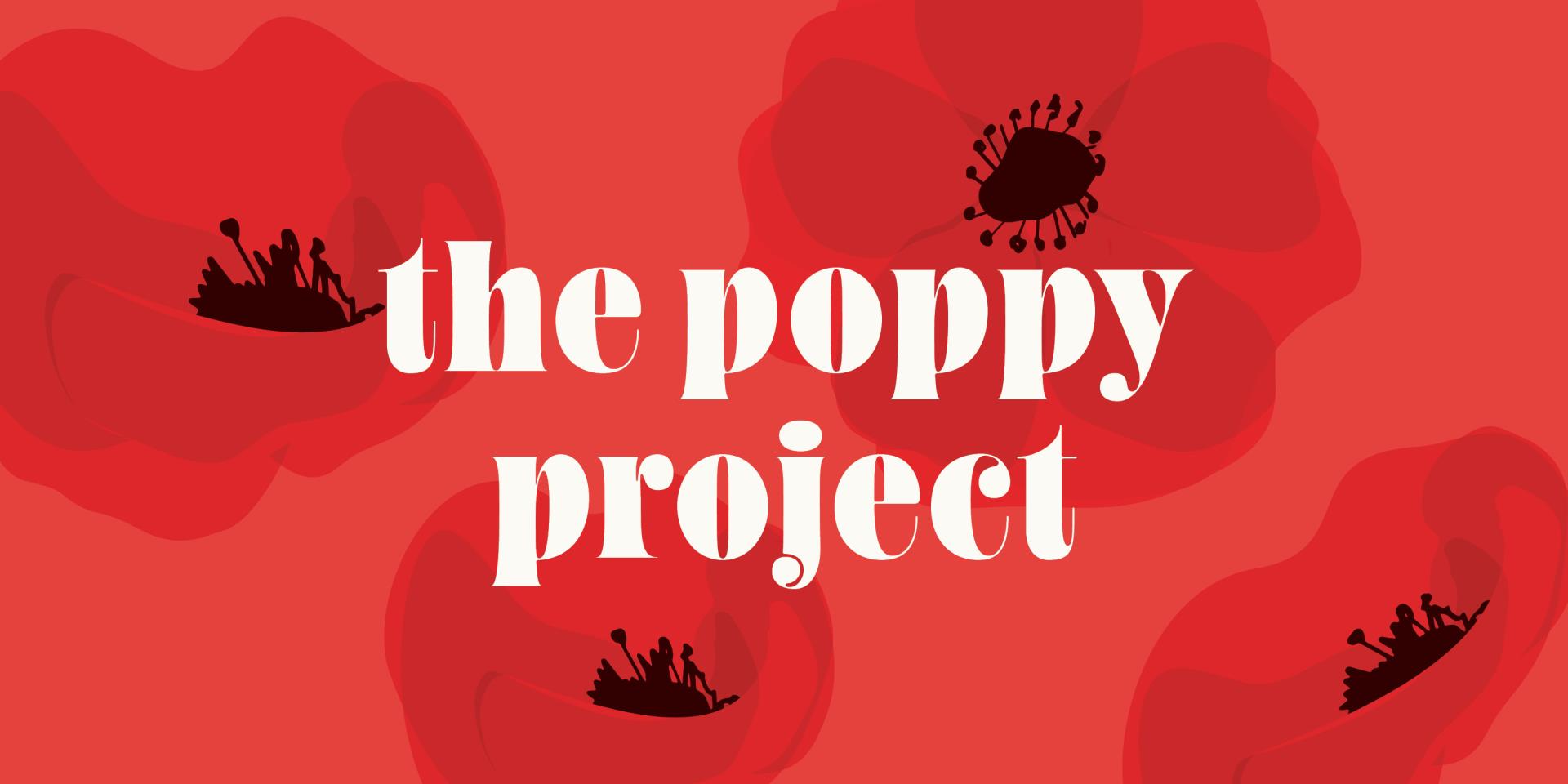 The Poppy Project Community Installation