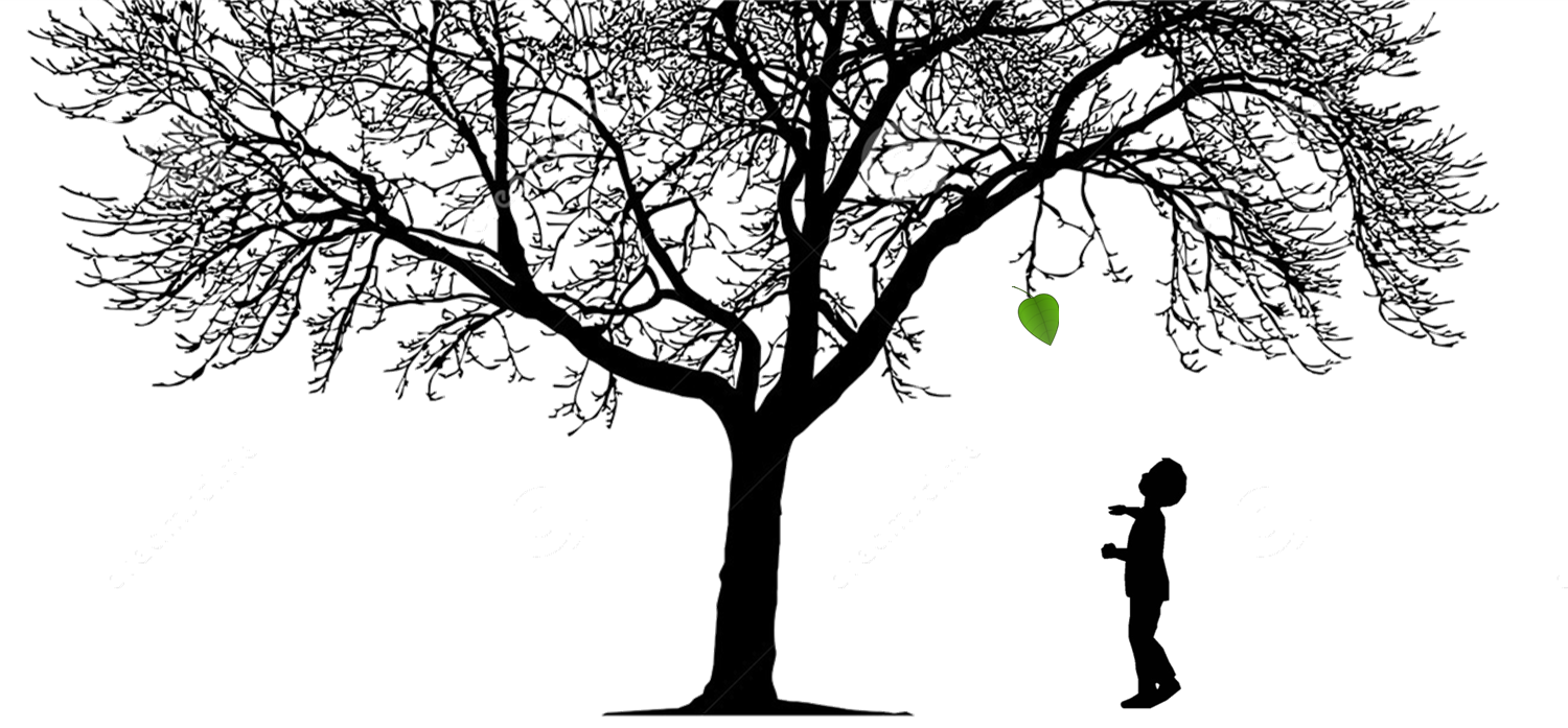 Family History Workshop: Finding Family