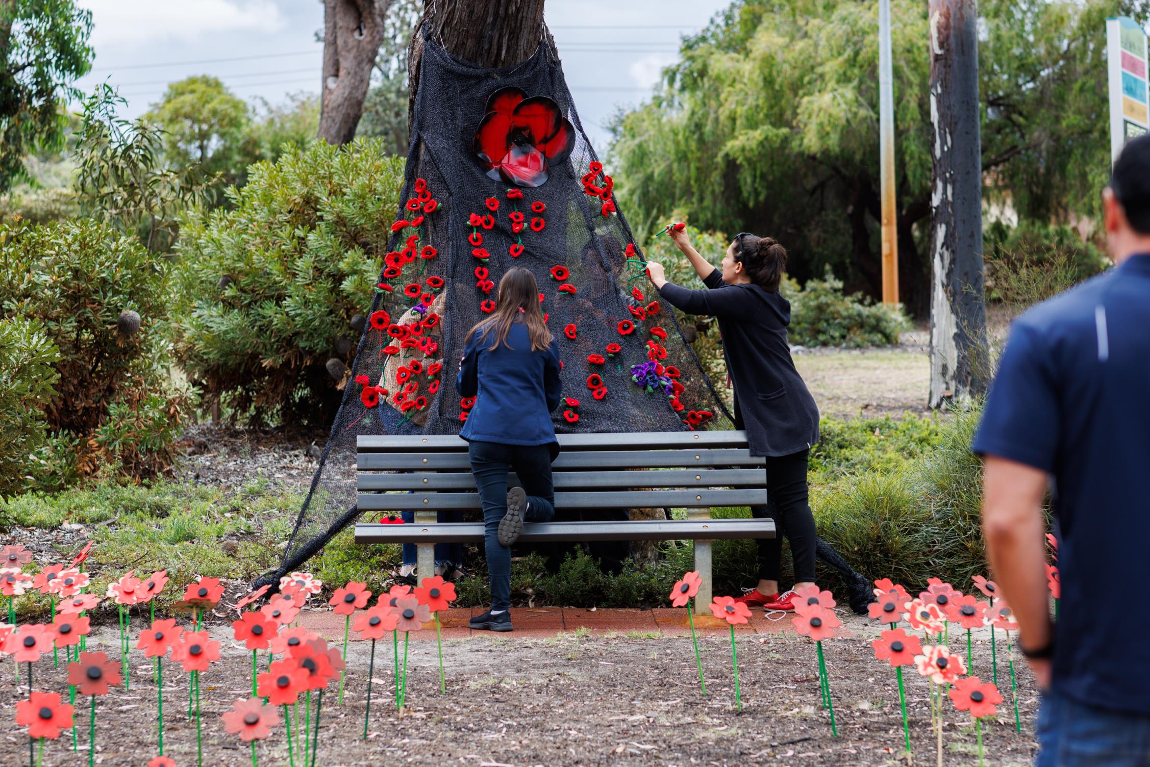 Poppy Project Installation