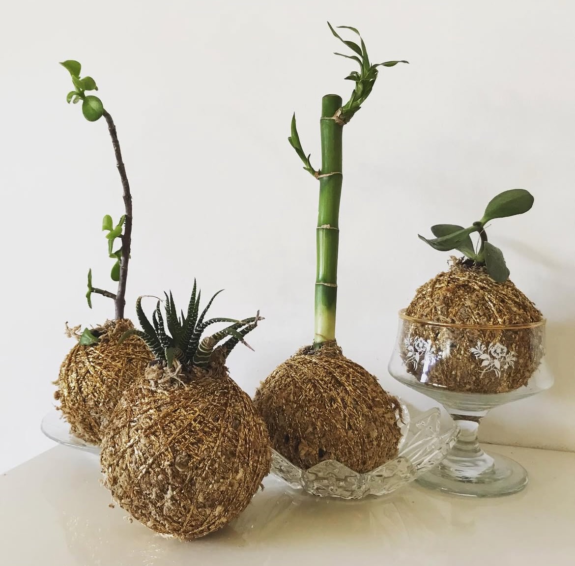 Kokedama Plant Making