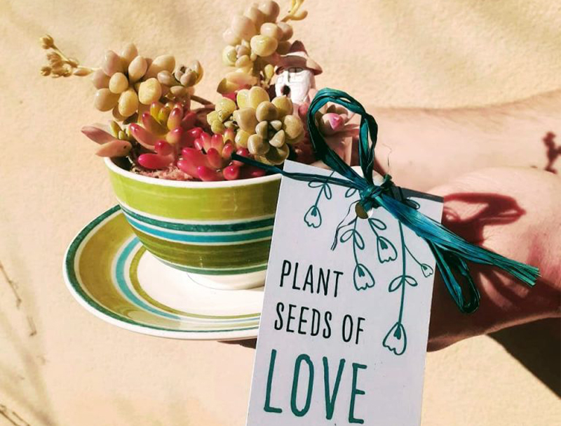 Message in a Teacup