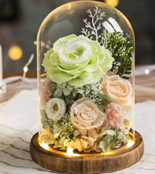 Flower Dome Workshop