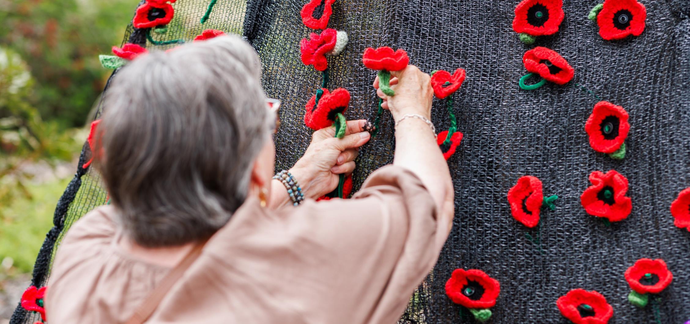 Poppy Project Installation