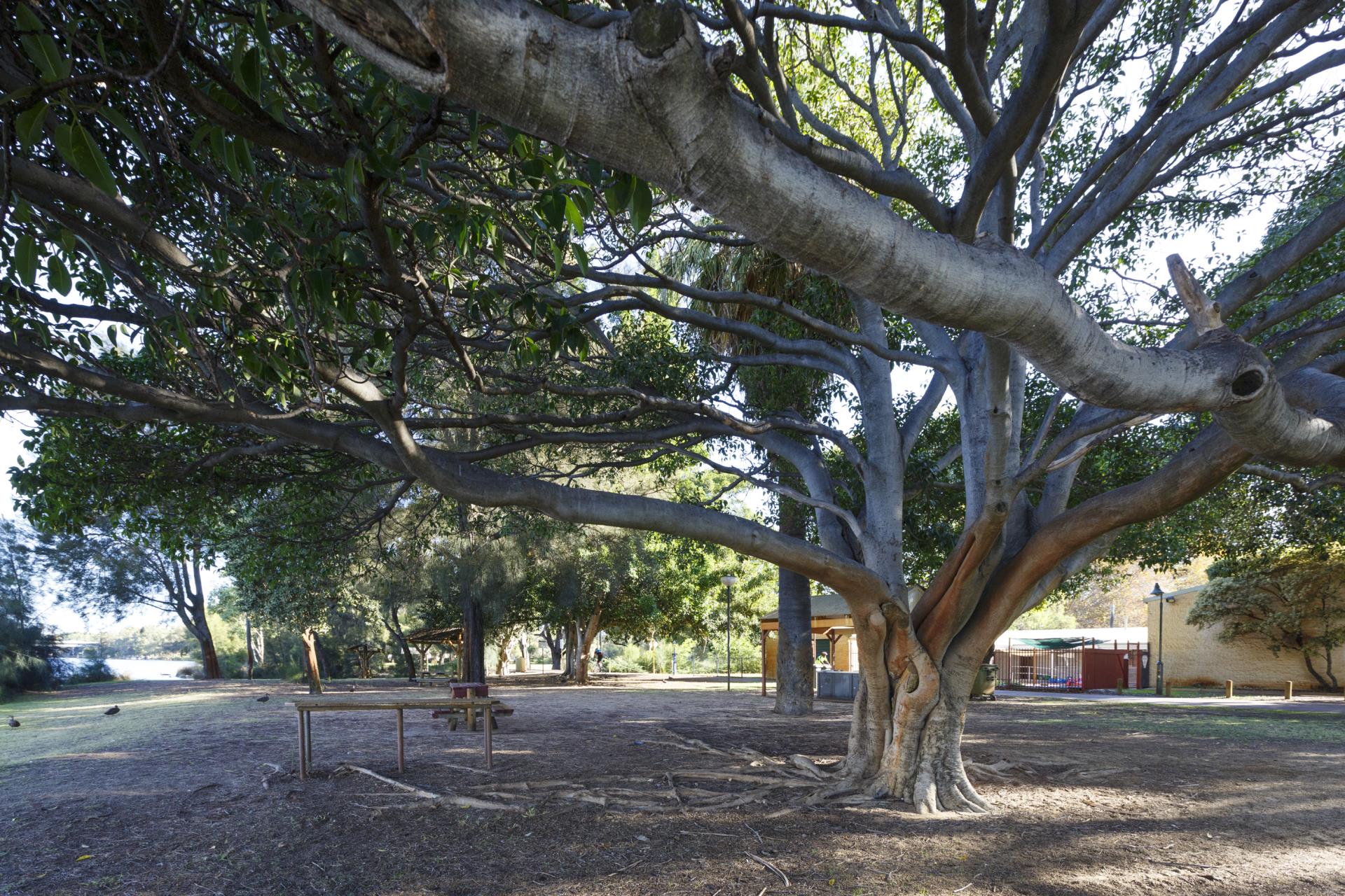 Public notice of Banks Reserve Pavilion demolition