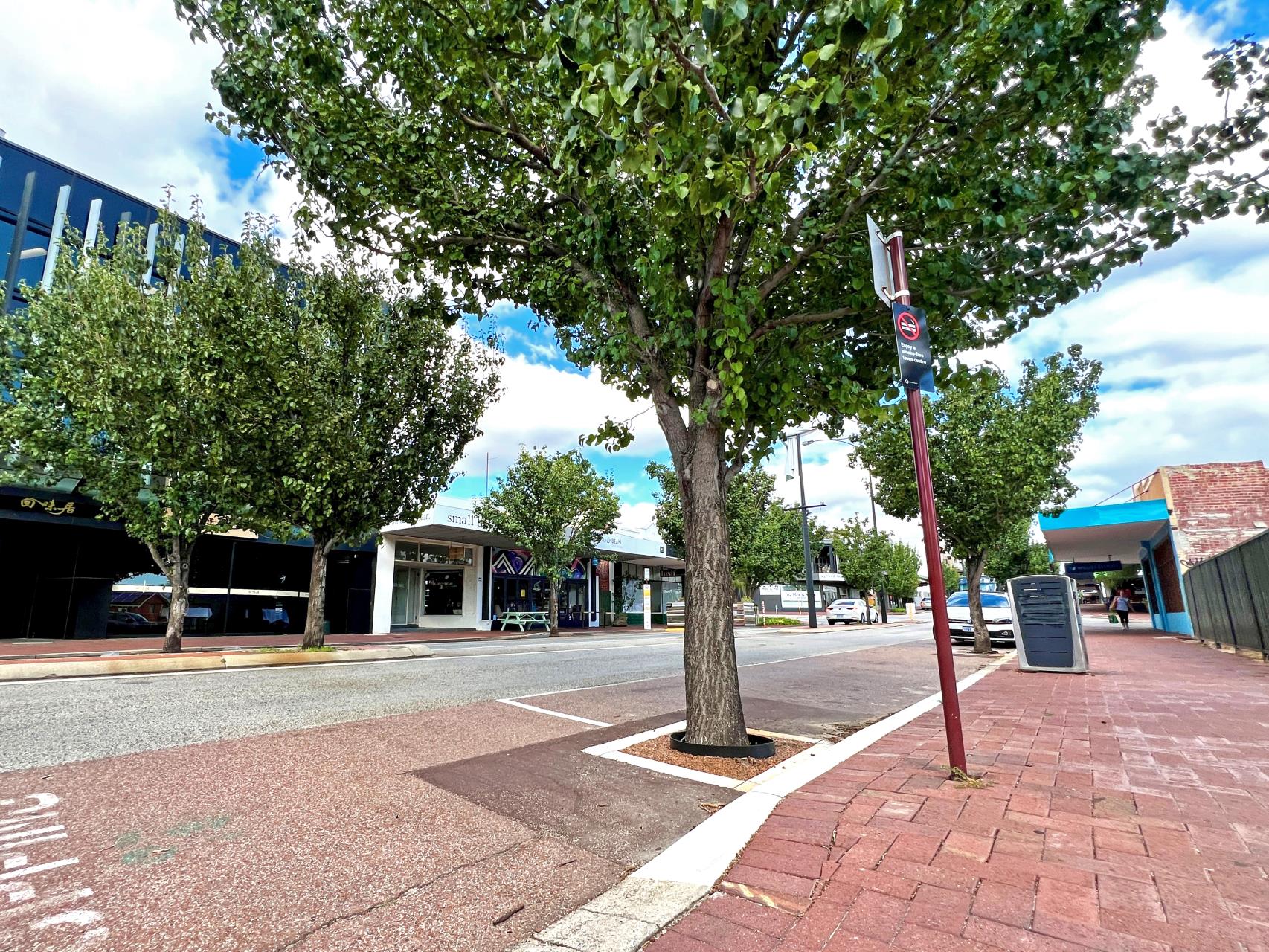 Enhancing tree health with permeable paving trial