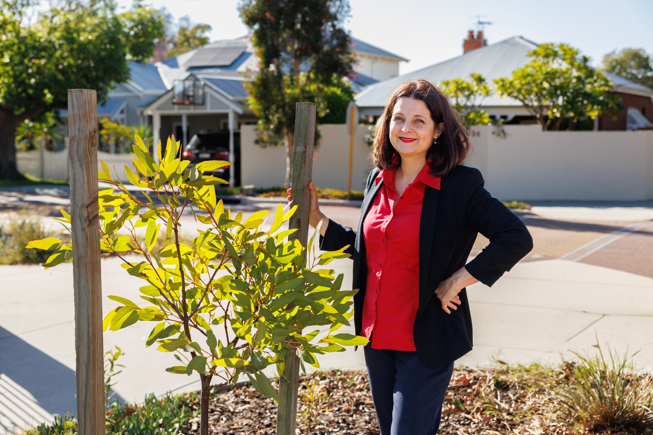 Support for native birdlife, Plastic Free July, and advocating for