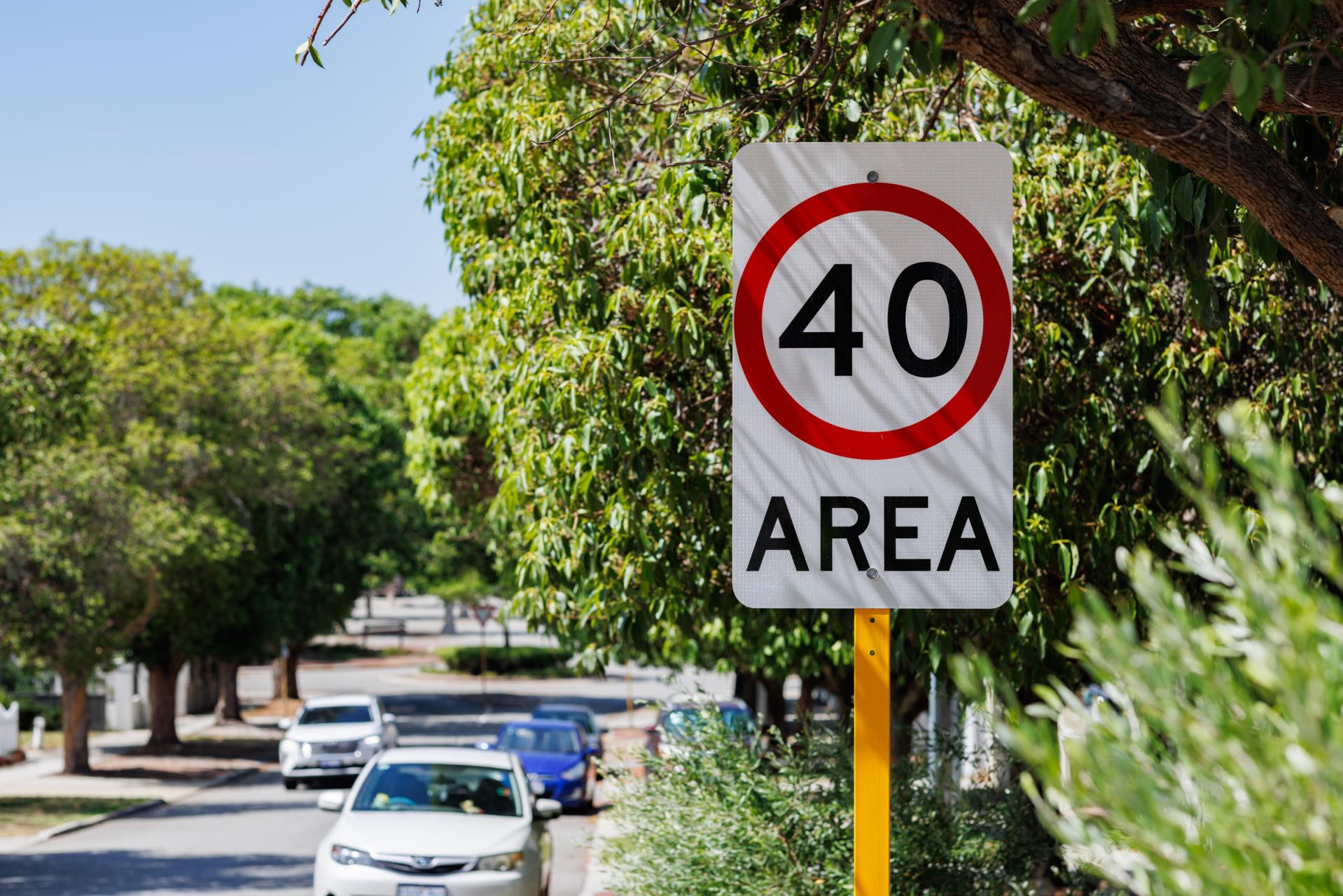 Speed limit reduced to 40km/h for Vincent Street