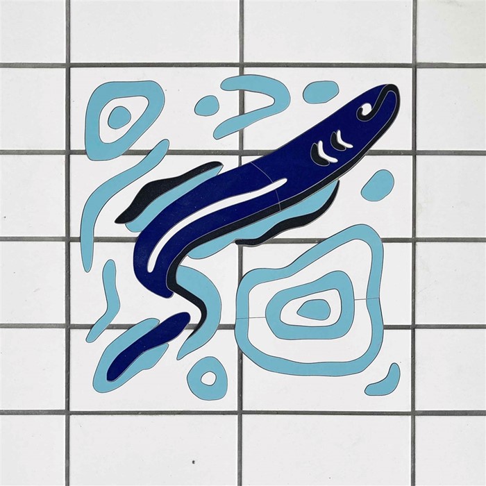 Image Gallery - Eel