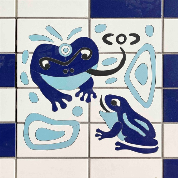 Image Gallery - Frog